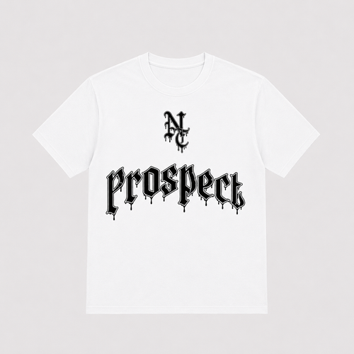 Camiseta tecnica team prospect