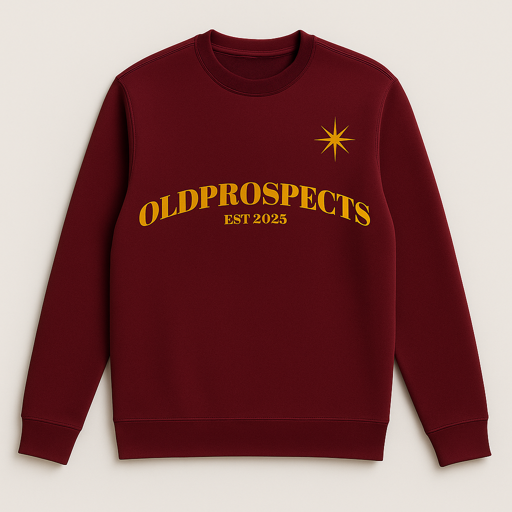 OLDPROSPECTS HOODIE