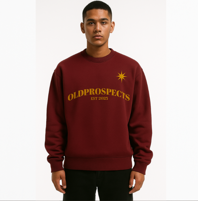 OLDPROSPECTS HOODIE